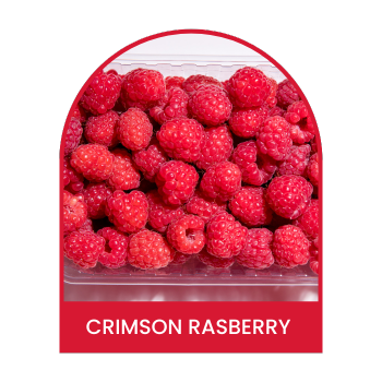 Crimson Rasberry Soap Bottle 15ml for Hotels & Spa's